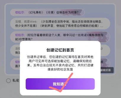 教程截图：私密选项